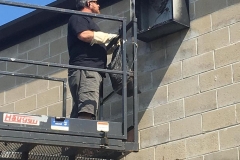 best-beehive-bee-nest-removal-1