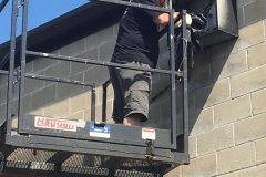 best-beehive-bee-nest-removal-2