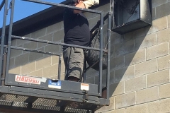 best-beehive-bee-nest-removal-3