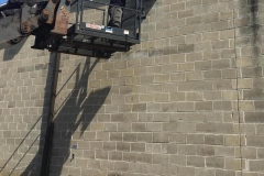 best-beehive-bee-nest-removal-4