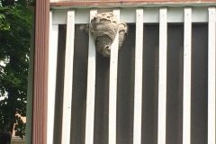 best-bees-nest-removal-nj-2