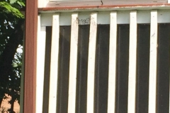 best-bees-nest-removal-nj-4