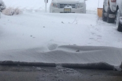 best-pest-control-snow-plow-3