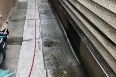 best-termite-treatment-nj-2